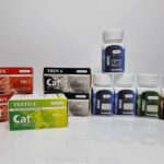 Beginner 8 Week Shredding Stack